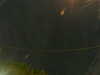 20241005052101-G0017866.JPG