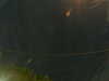 20241005052131-G0017868.JPG