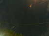 20241005052232-G0017872.JPG