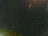 20241005052248-G0017873.JPG