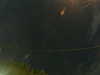 20241005052505-G0017882.JPG