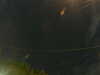 20241005052551-G0017885.JPG