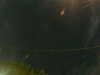 20241005052637-G0017888.JPG