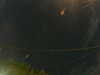 20241005052652-G0017889.JPG