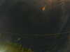 20241005052824-G0017895.JPG