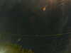 20241005052909-G0017898.JPG