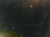 20241005052925-G0017899.JPG