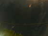 20241005052940-G0017900.JPG