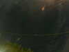 20241005052955-G0017901.JPG
