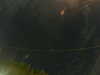 20241005053010-G0017902.JPG