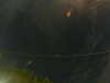 20241005053056-G0017905.JPG
