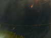 20241005053314-G0017914.JPG