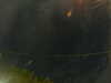 20241005053329-G0017915.JPG
