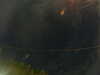 20241005053344-G0017916.JPG