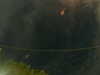 20241005053531-G0017923.JPG