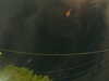 20241005053546-G0017924.JPG