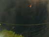 20241005053602-G0017925.JPG