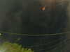 20241005053617-G0017926.JPG
