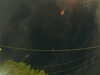 20241005053632-G0017927.JPG