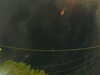 20241005053647-G0017928.JPG
