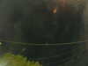20241005053733-G0017931.JPG