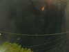 20241005053804-G0017933.JPG