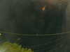 20241005053819-G0017934.JPG