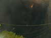 20241005053834-G0017935.JPG