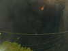 20241005053849-G0017936.JPG