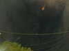 20241005053935-G0017939.JPG