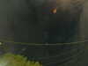 20241005054006-G0017941.JPG