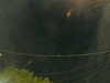 20241005054052-G0017944.JPG