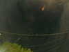 20241005054122-G0017946.JPG