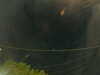 20241005054137-G0017947.JPG