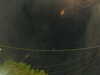 20241005054153-G0017948.JPG