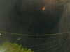 20241005054223-G0017950.JPG