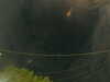 20241005054238-G0017951.JPG