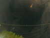 20241005054254-G0017952.JPG