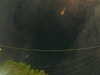 20241005054425-G0017958.JPG
