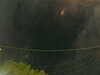 20241005054440-G0017959.JPG