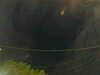 20241005054456-G0017960.JPG