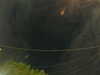 20241005054557-G0017964.JPG