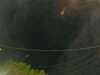 20241005054643-G0017967.JPG