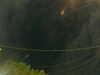 20241005054713-G0017969.JPG