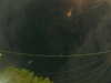 20241005054759-G0017972.JPG