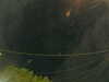 20241005054830-G0017974.JPG