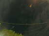 20241005054845-G0017975.JPG