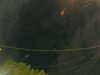 20241005054900-G0017976.JPG
