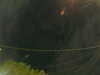 20241005054915-G0017977.JPG