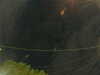 20241005055001-G0017980.JPG